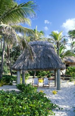 Backyard Tiki Hut Ideas - Https Encrypted Tbn0 Gstatic Com Images Q Tbn