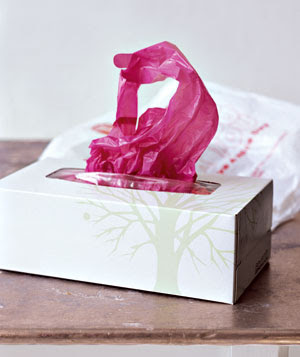 using empty kleenex box as grocery bag dispenser