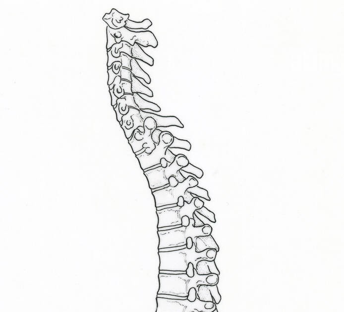 Draw The Diagram Of Backbone