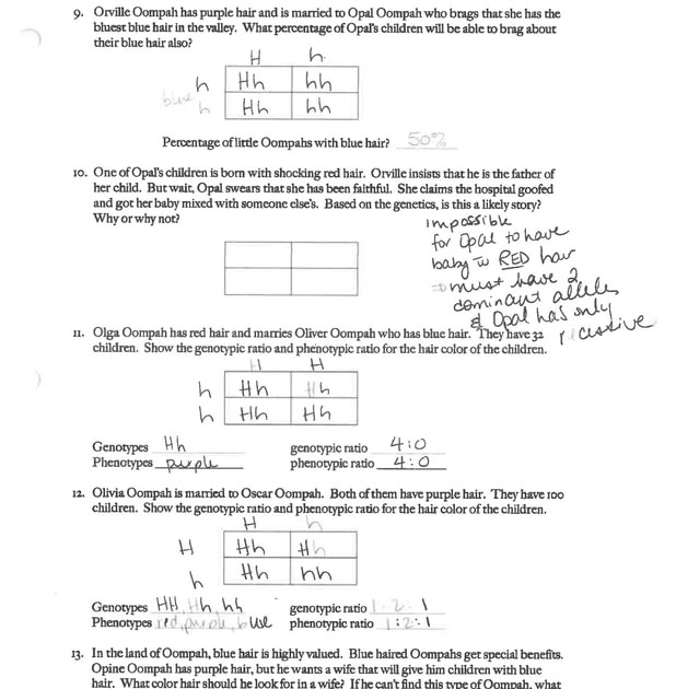 Mendel And Basic Packet Ws Answers / Mutations