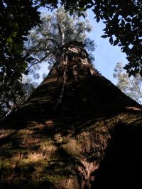 Free Image Hosting at www.ImageShack.us