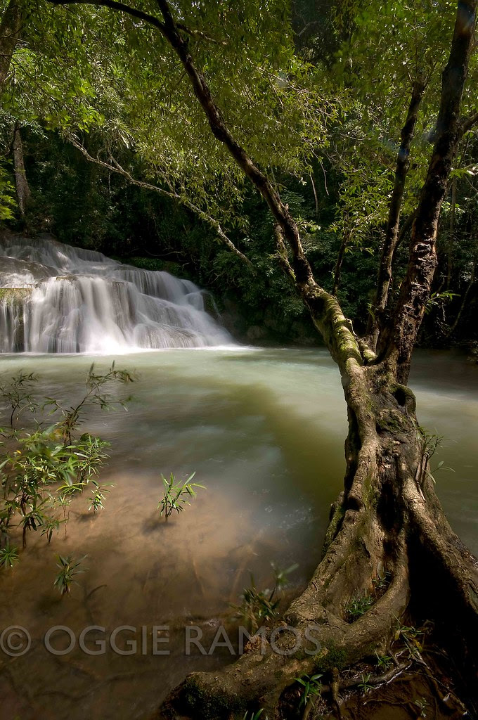 Ilocos Norte - Kaangrian Falls Luminous Tree Silhouette