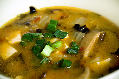 20100221_HotAndSourSoup