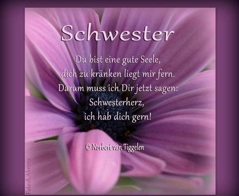 19+ Zitate Geburtstag Schwester suk 40