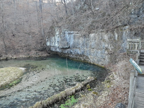 IMGP0590
