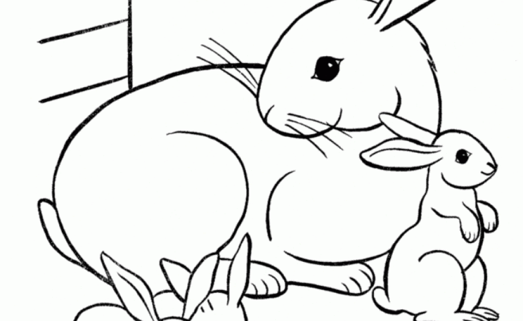 Mommy And Baby Animals Coloring Pages\' - Learn Animals Mothers And ...