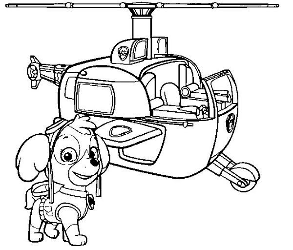 Pat Patrouille Coloriage  Bonjour de France