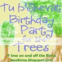 Birthday Party for the Trees at imabima.blogspot.com