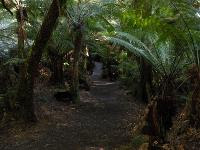 Free Image Hosting at www.ImageShack.us