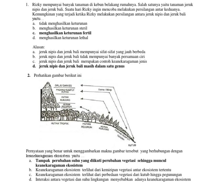 Soal Hots Ekosistem Kelas 5