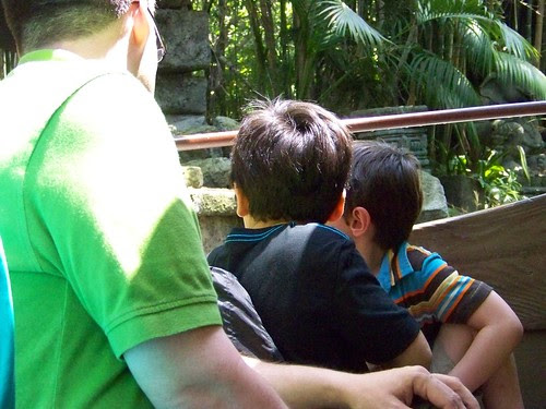Jungle Cruise 6/20/11