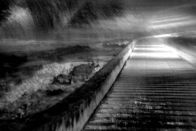 El Camino de los Sueños
