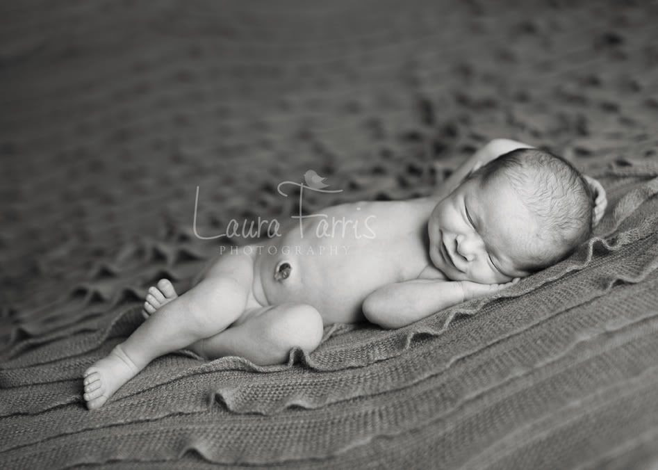 idaho baby photographers