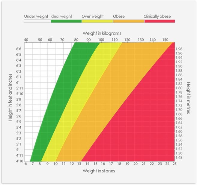 Bmi Weight Chart In Kg - Aljism Blog
