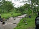 sungai