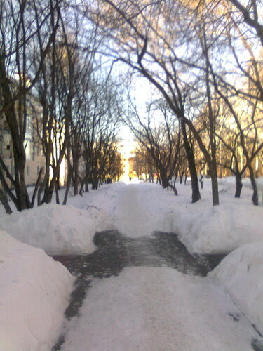 Воронья аллейка Воронья аллейка