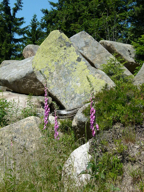 P1070226