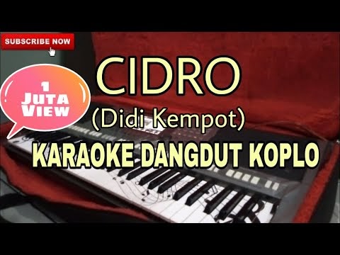 Koplo