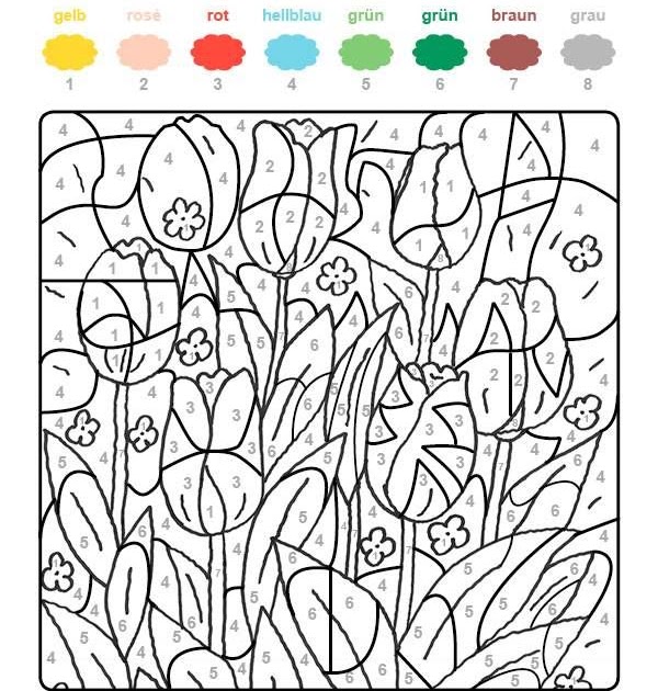 Mandala Malvorlagen Rechnen Amorphi