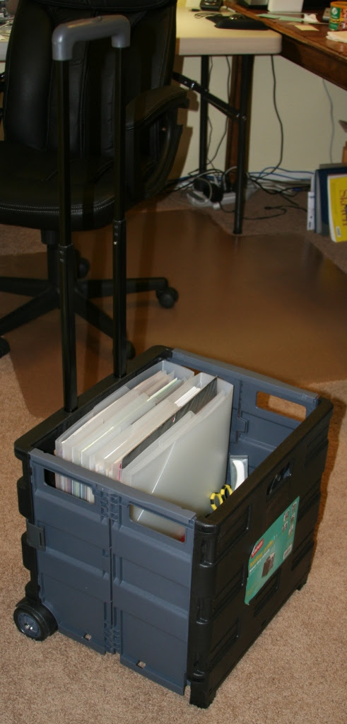IMG_1869_CollapsibleRollingTote