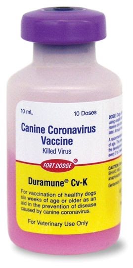 Canine Coronavirus Vaccine Schedule - Alert Nation