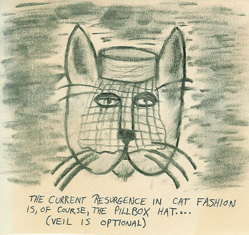 Cat fashion