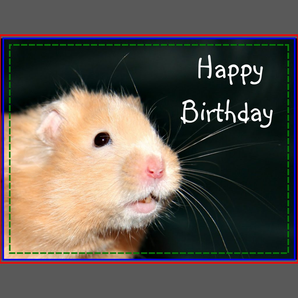 Alles Gute Zum Geburtstag Hamster geburtstagsglückwünsche für frauen