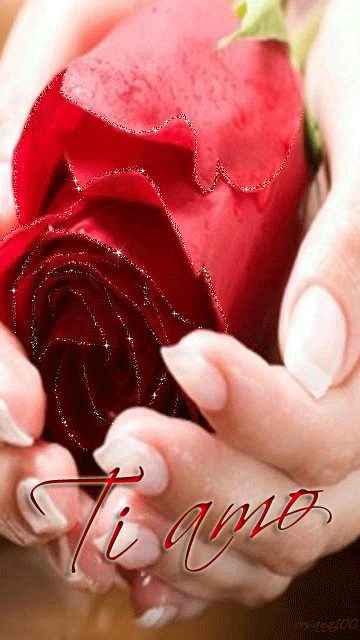 Роза в руках