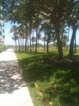 the way to miami beach