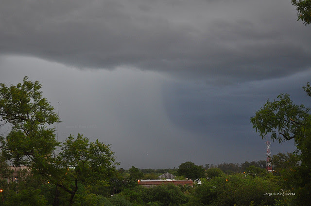 DSC_2299i w