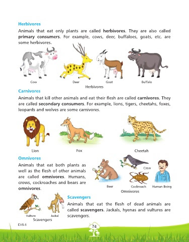Animals That Eat Both Plants And Other Animals / Ep5a And 5b E Lessons