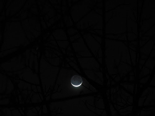 New Moon _ 1560