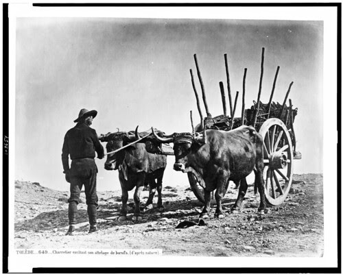 Boyero en Toledo en el siglo XIX. Fotografía de Jean Laurent. The Library of Congress of the United States of America