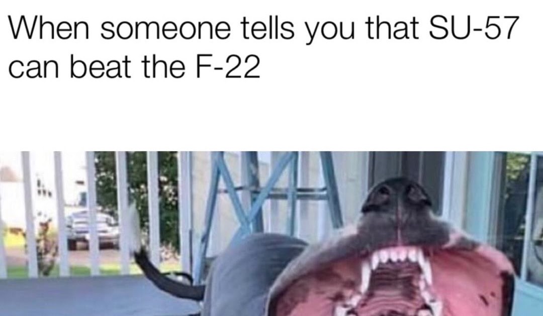 Meme Dog Mouth Open - MESJEME