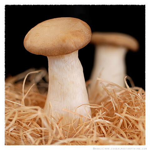 king oyster mushrooms© by Haalo
