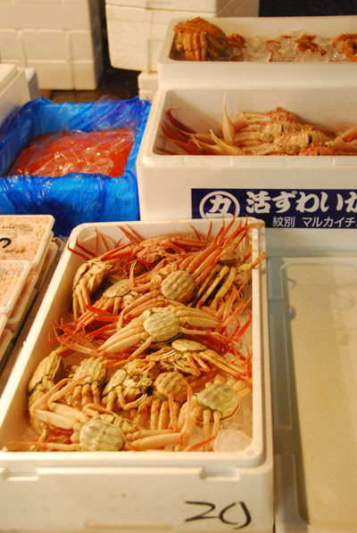 80DSC_8914.jpg