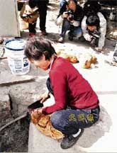 Hot Woman Kill Chicken
