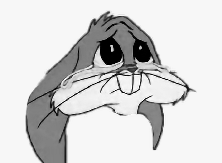 Bunny Face Png : Lola Bunny Face Png Free Transparent Clipart Clipartkey
