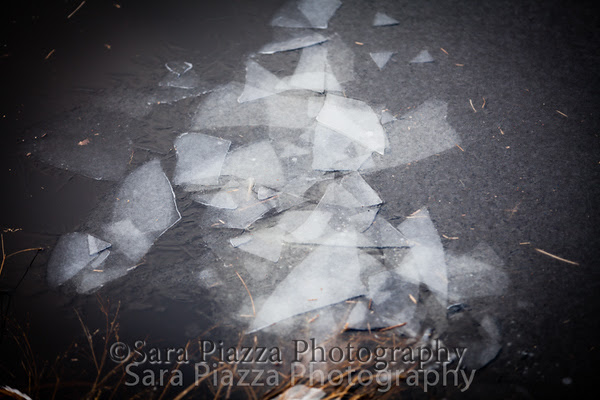 Sweetened Water, Edgartown News, snow