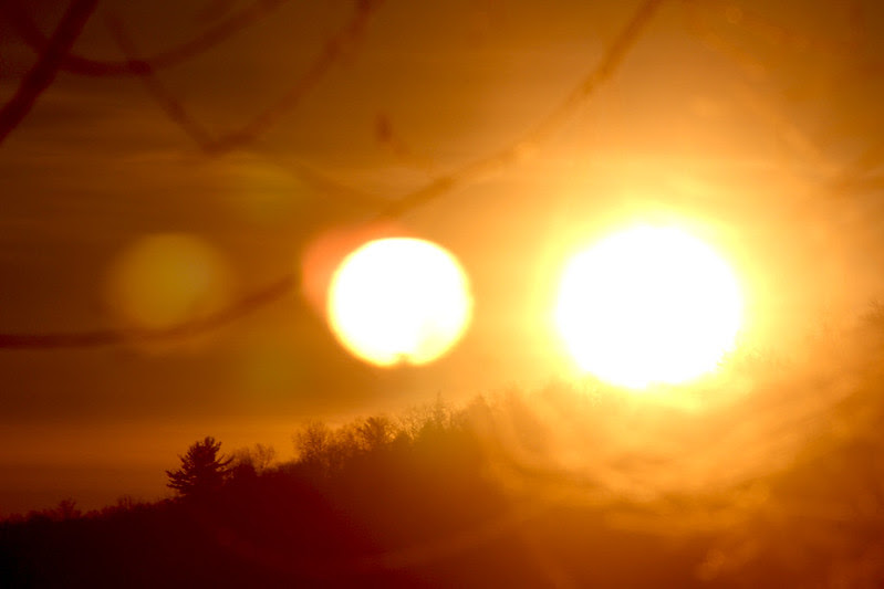 golden orbs