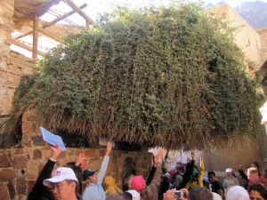 The Burning Bush in St Catherine's