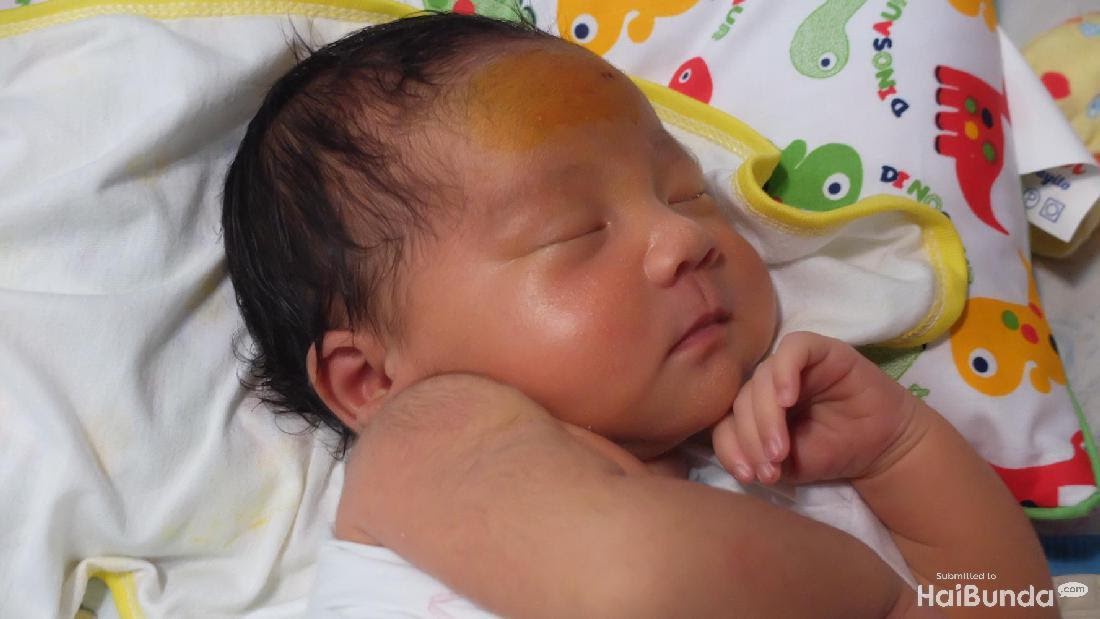 Kumpulan 7 Foto Bayi Baru Lahir Berhijab Gambar Amara