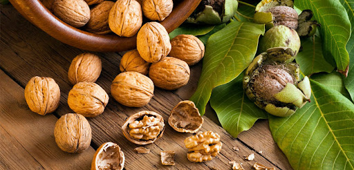7 Top Reasons to Eat Walnuts - Anjoman Food