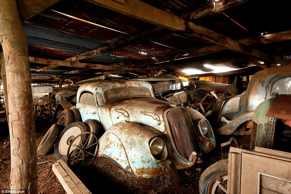 Some of the cars were bought by Mr Baillon, an entrepreneur, in the 1950s and have been parked on the farm since