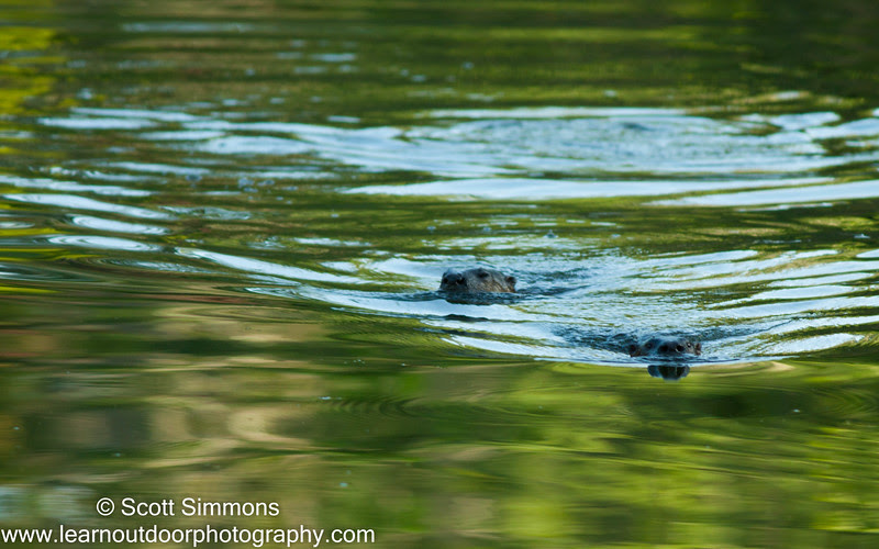 Photo & Video Sharing by SmugMug Photo & Video Sharing by SmugMug