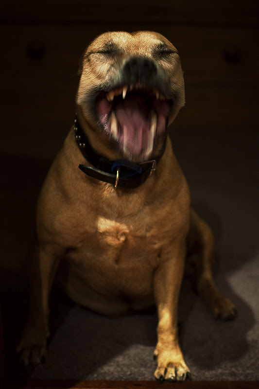 ROOBY