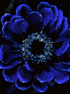 Синий  цветок