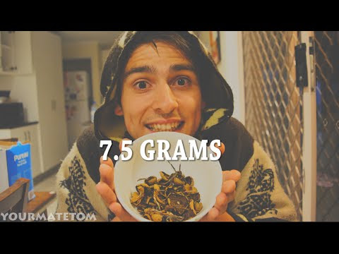 gram trip mushroom kilindi iyi mushrooms luck psilocybin preparation 5g wish