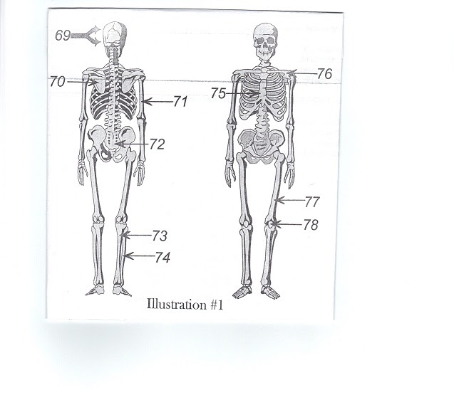 Anatomy And Physiology 1 Quizzes