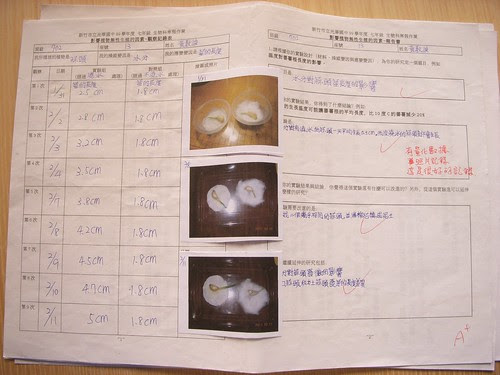 DSCN3303.JPG